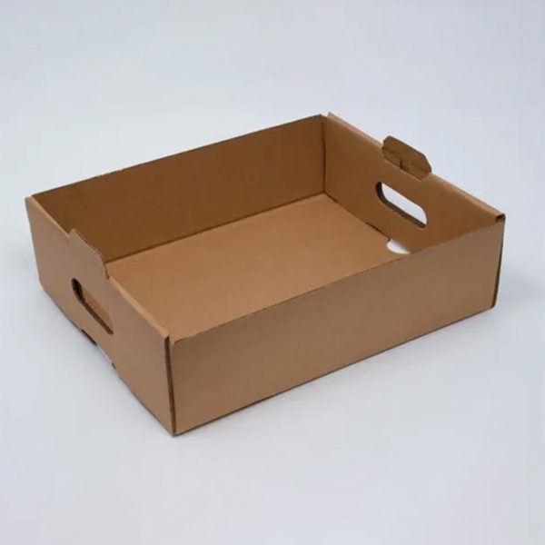 Custom Combo Meal Trays Packaging