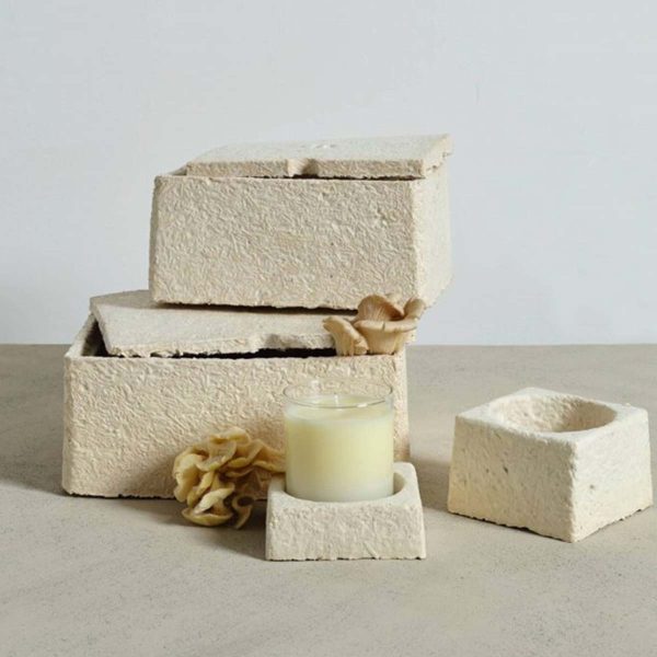 Custom Mycelium Packaging