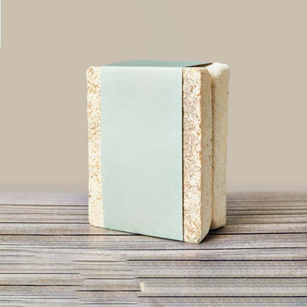 Mycelium for Packaging